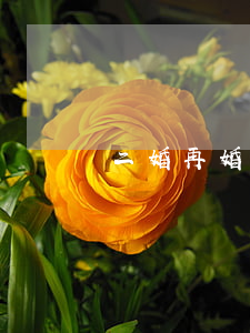 二婚再婚要帶離婚證嗎