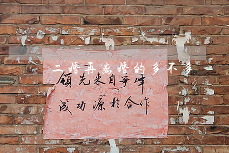 二婚再离婚的多不多