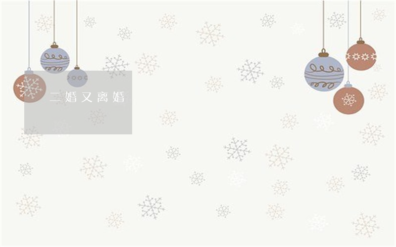 二婚又离婚