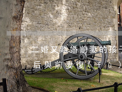 二婚又離婚前妻的孩子怎么辦(二婚男人離婚后與前妻復(fù)婚了)
