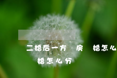 二婚后一方買房離婚怎么分(二婚后一方買房離婚怎么分)