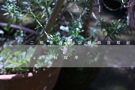 二婚單方起訴離婚流程(起訴離婚的手續(xù)和程序)