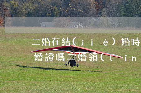 二婚在結(jié)婚時(shí)要帶離婚證嗎(二婚領(lǐng)結(jié)婚證需要帶離婚證嗎)