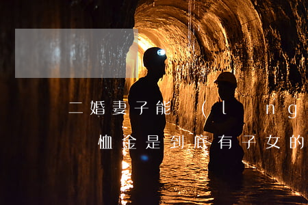 二婚妻子能領(lǐng)取撫恤金嗎(二婚撫恤金是到底有子女的嗎)