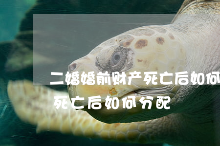 二婚婚前财产死亡后如何分配(二婚婚前财产死亡后如何分配)
