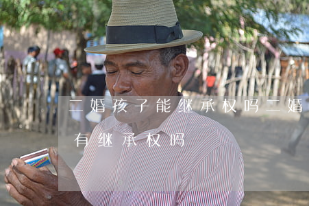 二婚孩子能继承权吗(二婚后房产双方子女都有继承权吗?)