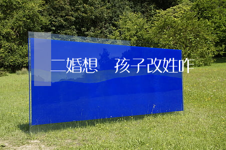 二婚想給孩子改姓咋辦