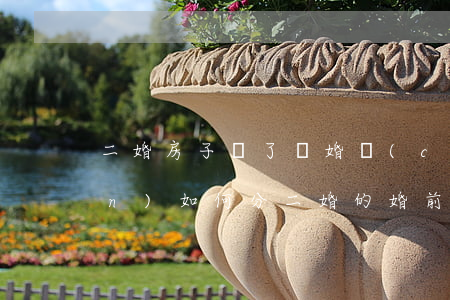 二婚房子賣了離婚財(cái)產(chǎn)如何分(二婚的婚前財(cái)產(chǎn)如何分割)