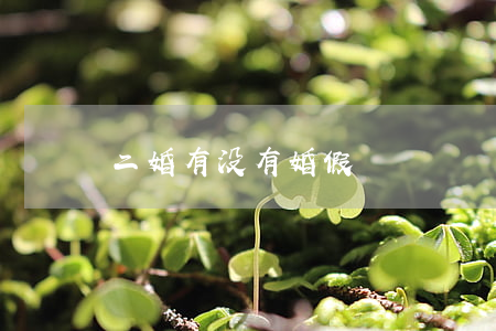 二婚有没有婚假