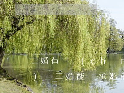 二婚有遺產(chǎn)繼承權(quán)嗎(二婚能繼承婚前財產(chǎn))