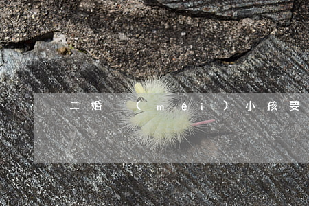 二婚沒(méi)小孩要離婚怎么辦