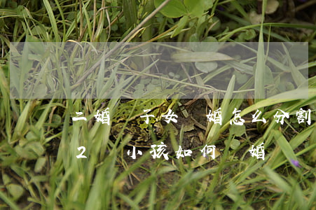 二婚無子女離婚怎么分割按揭房(房子有貸款2個小孩如何離婚)