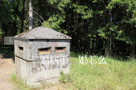 二婚病重離婚怎么辦