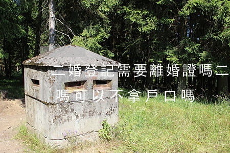 二婚登記需要離婚證嗎(二婚登記需要離婚證嗎可以不拿戶口嗎)