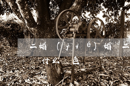 二婚結(jié)婚證(二婚結(jié)婚證什么顏色)