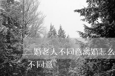 二婚老人不同意离婚怎么办(二婚想离婚对方不同意)