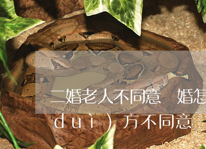 二婚老人不同意離婚怎么辦(二婚想離婚對(duì)方不同意)