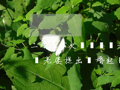 二婚老公欠網貸騷擾老婆能報警嗎(老公有網貸老婆提出離婚起訴)
