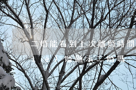 二婚能看到上次離婚時間嗎(離完婚再結(jié)婚,顯示二婚嗎?)