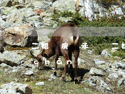 二婚買房繼承權嗎(二婚可以繼承婚前財產(chǎn)嗎)