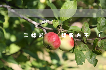 二婚起訴離婚男方不補(bǔ)錢怎么辦