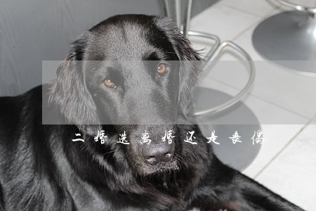 二婚选离婚还是丧偶