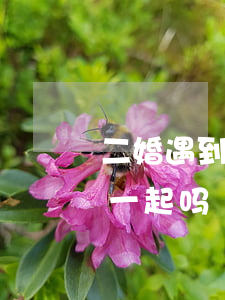 二婚遇到头婚还能离婚吗(头婚和二婚能走到一起吗)