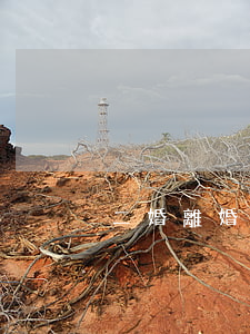 二婚離婚協(xié)議書怎么寫