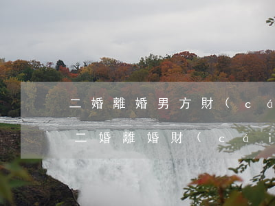 二婚離婚男方財(cái)產(chǎn)(二婚離婚財(cái)產(chǎn)如何分配,男方掌握財(cái)產(chǎn))