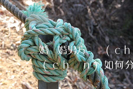 二婚離婚男方財產(chǎn)(二婚離婚財產(chǎn)如何分配,男方掌握財產(chǎn))