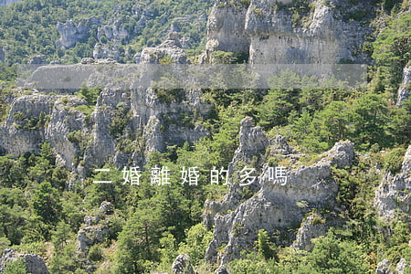 二婚離婚的多嗎