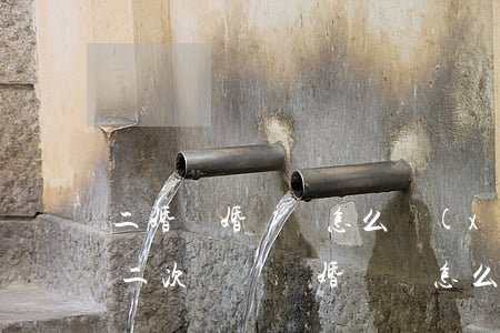 二婚離婚訴狀怎么寫(xiě) 女方范本(第二次訴訟離婚訴狀怎么寫(xiě))