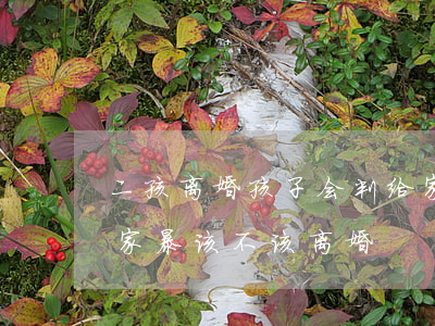二孩离婚孩子会判给家暴的南方吗(有了孩子家暴该不该离婚)