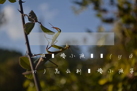 二孩離婚小孩撫養(yǎng)權(quán)怎么判(離婚小孩子撫養(yǎng)權(quán)怎么判定)