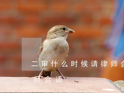 二审什么时候请律师合适(二审什么时候请律师合适)