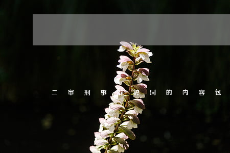 二审刑事辩护词的内容包括哪些