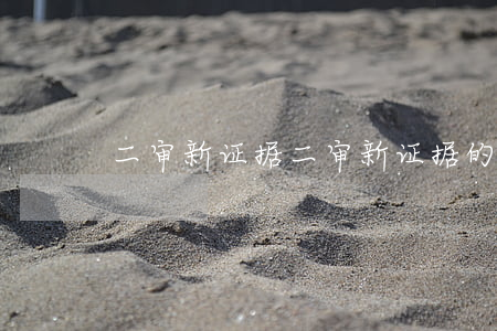 二审新证据(二审新证据的认定标准)