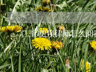 二审更换律师怎么阅卷