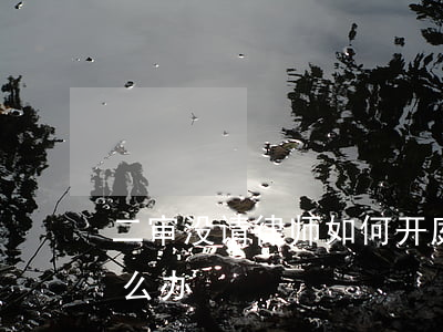 二审没请律师如何开庭(二审没有律师出庭怎么办)
