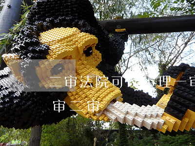 二审法院可以审理一审案件吗(法院什么叫一审二审)