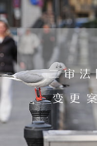 二审法院可以更改一审案由吗(二审法院可以变更案由吗)