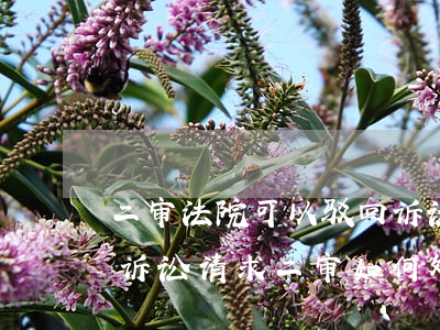 二审法院可以驳回诉讼请求吗(一审判决驳回诉讼请求,二审如何处理)