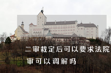 二审裁定后可以要求法院调解吗(民事诉讼二审可以调解吗)