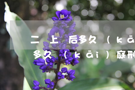 二審上訴后多久開(kāi)庭(二審上訴后多久開(kāi)庭 刑事)