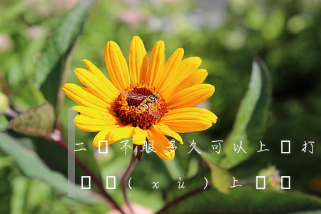 二審不服多久可以上訴(打官司二審不服還能繼續(xù)上訴嗎?)