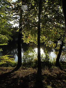 二審中原審原告增加訴訟請求被告知另行起訴是什么意思
