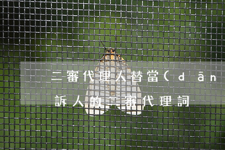 二審代理人替當(dāng)事人上訴嗎(上訴人的二審代理詞)