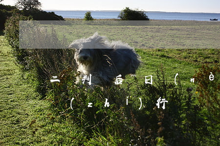 二審判決后幾日內(nèi)可以申請強制執(zhí)行