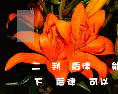 二審判決后律師還能會(huì)見嗎(判決下來后律師可以會(huì)見嗎)