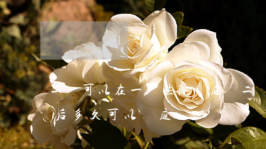 二審可以在一審法院開庭嗎(二審一般在一審后多久可以開庭)